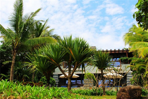 鲜看锅里打边炉