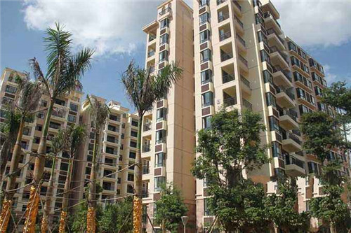 金融市场哪个品牌好