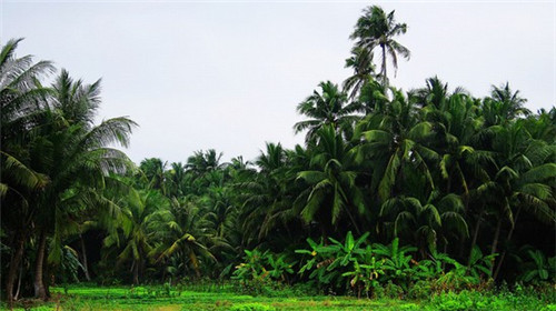 财务软件排行榜前十名