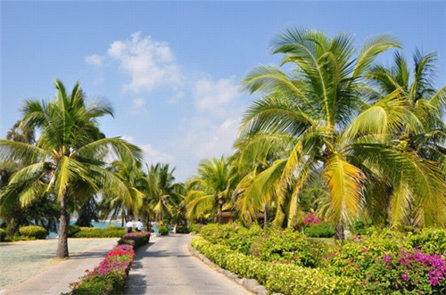 岚县铝合金行李箱加盟创业选择什么项目好