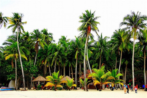 单机游戏加盟店排行榜前十名比较火的，十大单机游戏公司