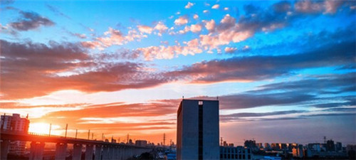 2025腰部按摩器加盟店哪些项目还能赚钱，腰部按摩产品