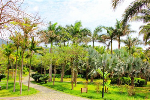 雅安专业火锅店装修设计（火锅店装修案例）